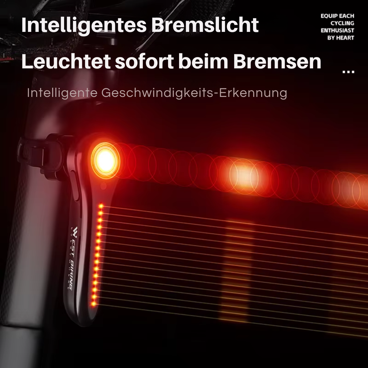 Wasserdichtes Fahrrad Rücklicht für Fahrten bei Regen, Spritzwasser und Staub